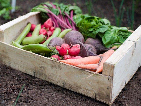 What Does Organic Mean?
